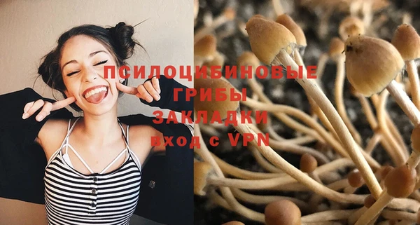 бошки Нефтекумск