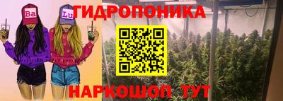 apvp Краснокаменск