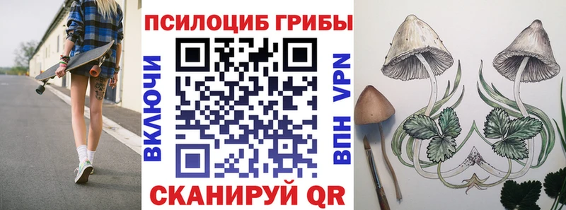 где продают наркотики  Ессентуки  Псилоцибиновые грибы GOLDEN TEACHER 