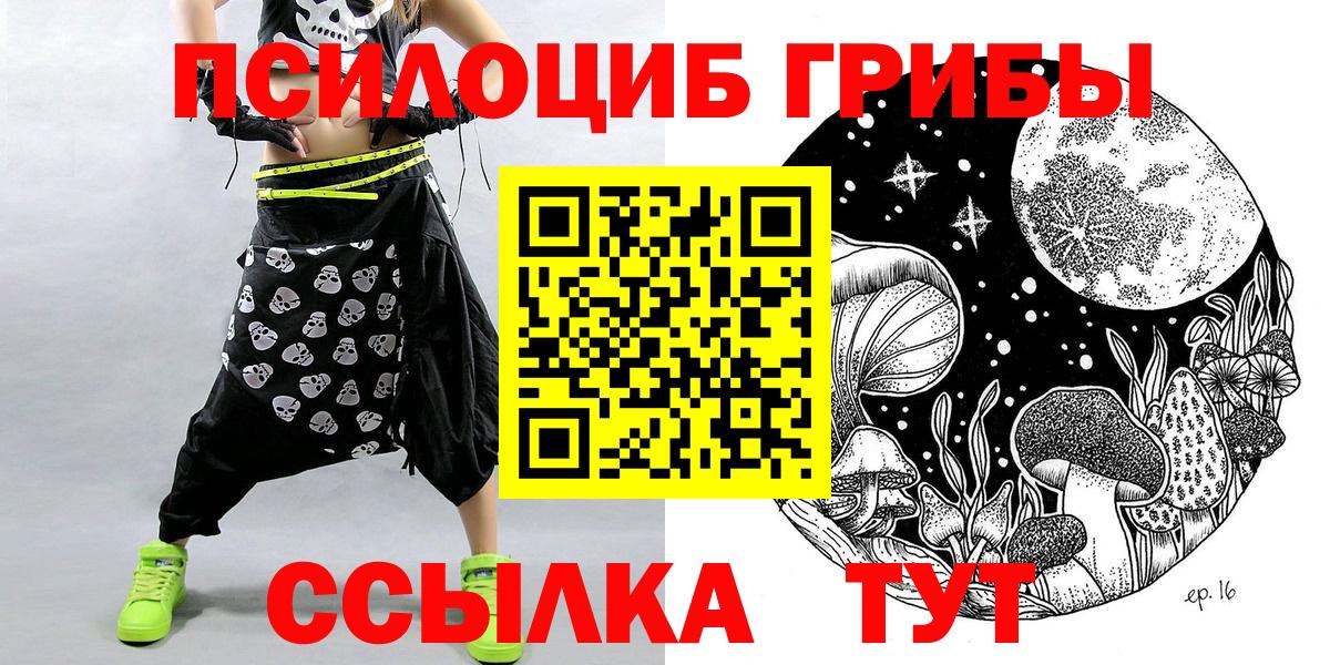 Псилоцибиновые грибы Cubensis  Вход с VPN  Ессентуки 