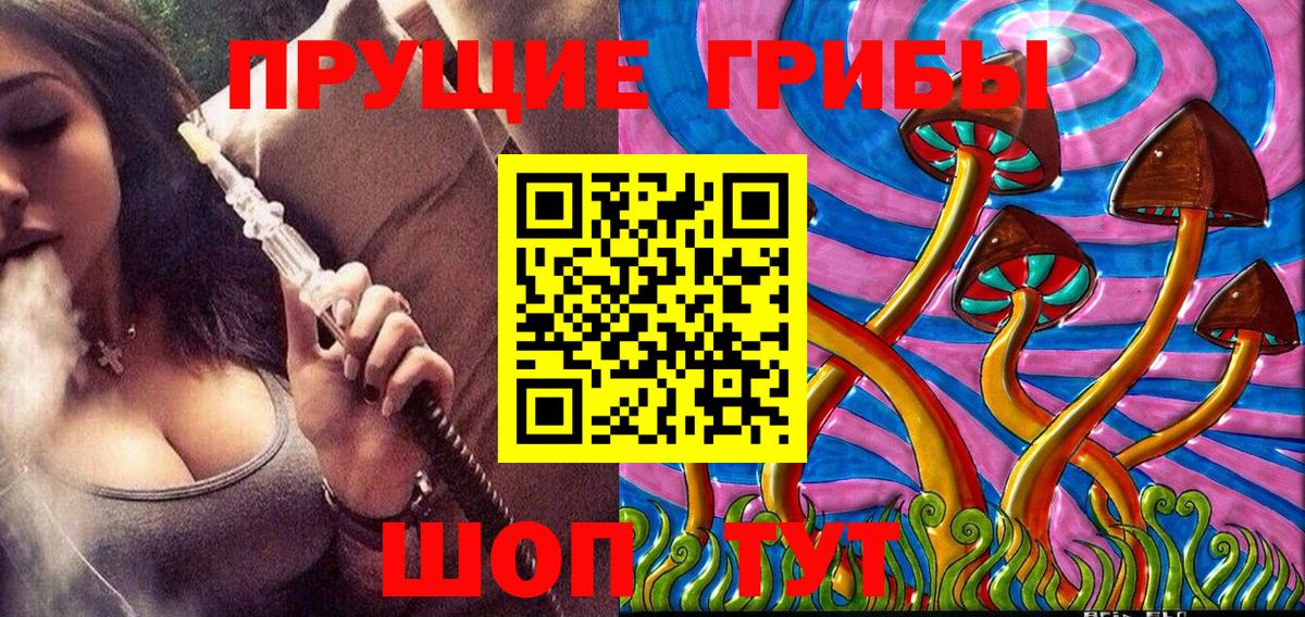 Псилоцибиновые грибы Psilocybine cubensis Ессентуки